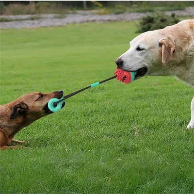 FurryFusion Interaktives Hundespielzeug FurryFusion Interaktives Hundespielzeug