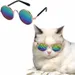 FurryFusion Lunettes de soleil pour petits chiens et chats