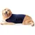 FurryFusion Chaleco relajante para perros - Anti-ansiedad FurryFusion Chaleco relajante para perros - Anti-ansiedad