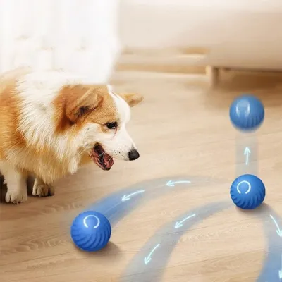 FurryFusion Frisbee pour chien, flottant et résistant