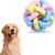 FurryFusion Jouet boule pour chien en forme de cloche colorée
