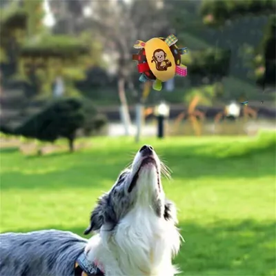 FurryFusion Jouet couineur pour chien