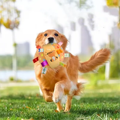 FurryFusion Jouet couineur pour chien