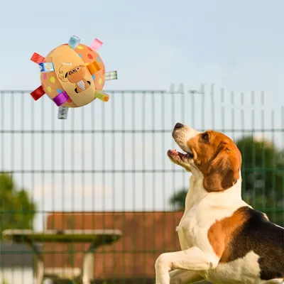 FurryFusion Jouet couineur pour chien