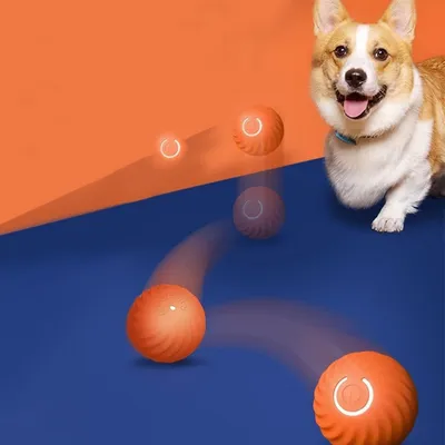 FurryFusion Balle de jeu pour chien, auto - amusante et résistante