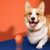 FurryFusion Frisbee pour chien, flottant et résistant