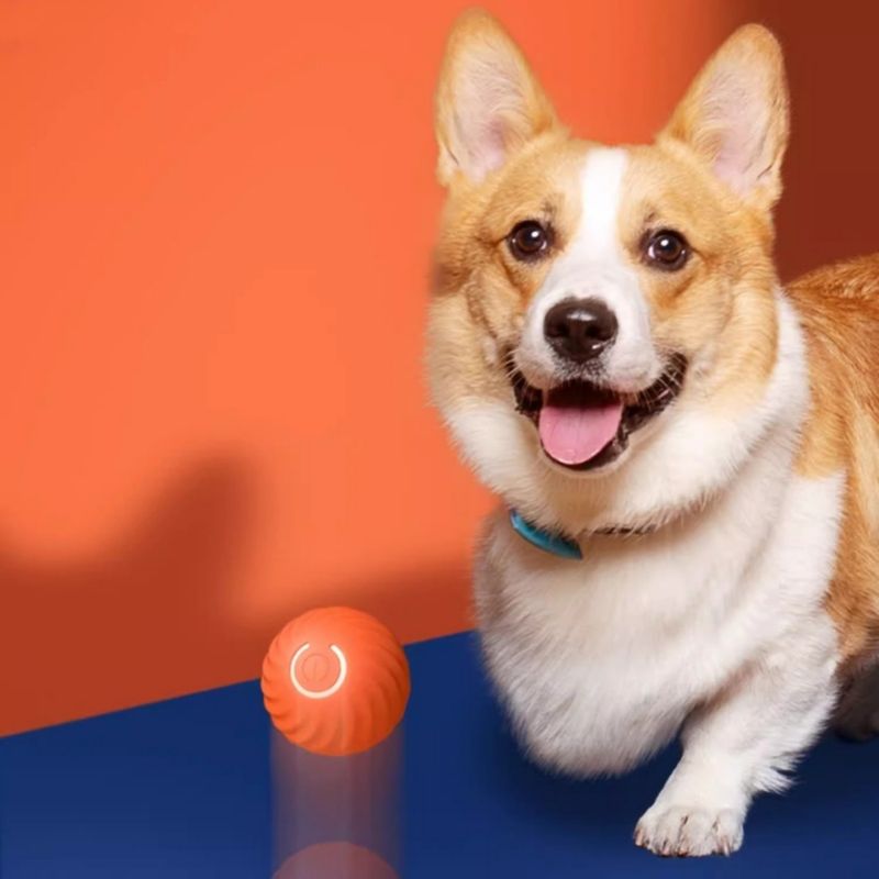 FurryFusion Frisbee pour chien, flottant et résistant