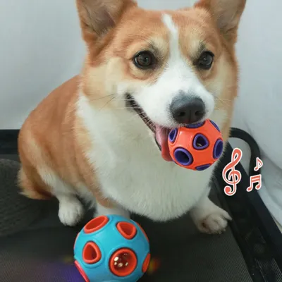 FurryFusion Boule anémone pour chien et chat, sonore