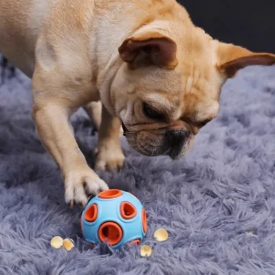 FurryFusion Boule anémone pour chien et chat, Luminescence