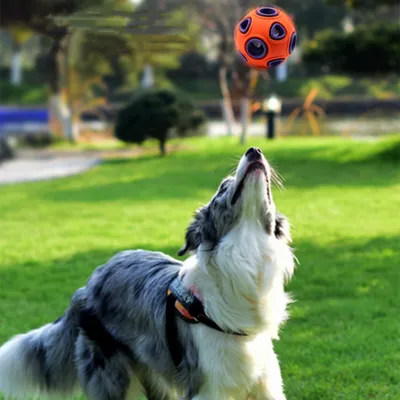 FurryFusion Boule anémone pour chien et chat, sonore