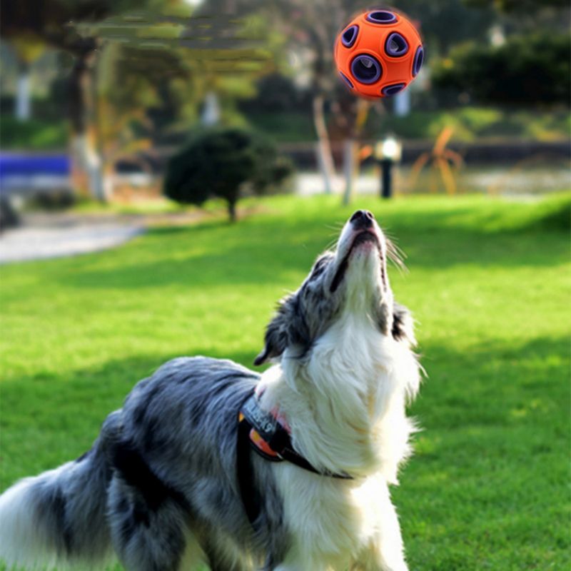 FurryFusion Boule anémone pour chien et chat, sonore
