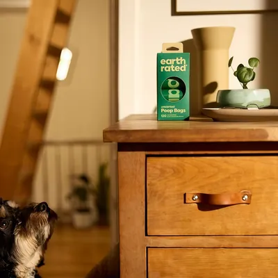 FurryFusion Sacs à crottes pour Chiens - 120 Sacs