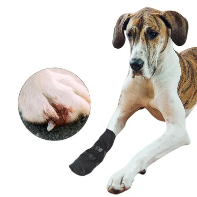 FurryFusion Couvre-pattes imperméables pour chien