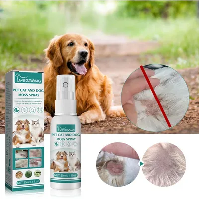 FurryFusion Spray de soin pour la peau des chiens