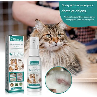 FurryFusion Spray de soin pour la peau des chiens