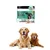 FurryFusion Poudre pour nettoyer les dents du chien