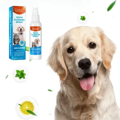 FurryFusion Spray de nettoyage buccal pour chiens et chats 120ml FurryFusion Spray de nettoyage buccal pour chiens et chats 120ml