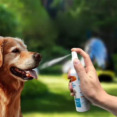FurryFusion Spray de nettoyage buccal pour chiens et chats 120ml