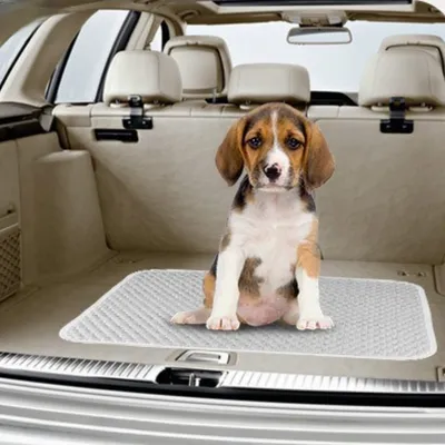 FurryFusion Tapis rafraîchissant pour chien et chat