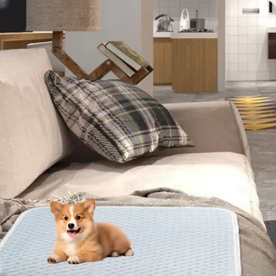 FurryFusion Tapis rafraîchissant pour chien et chat