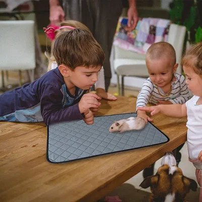 FurryFusion Juego de 2 alfombrillas para jaulas de animales pequeños