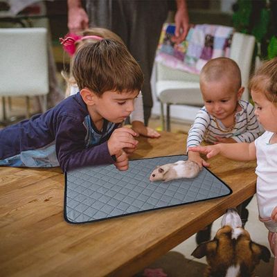 FurryFusion Juego de 2 alfombrillas para jaulas de animales pequeños