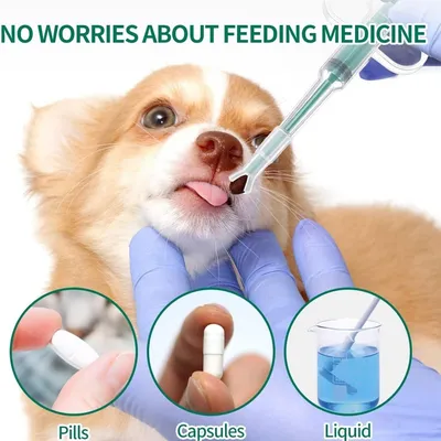 FurryFusion Distributeur de pilules pour chats et chiens