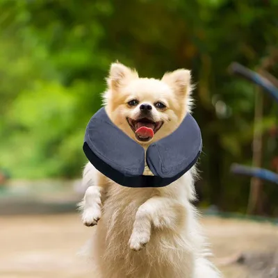 FurryFusion Cône de protection pour chiens