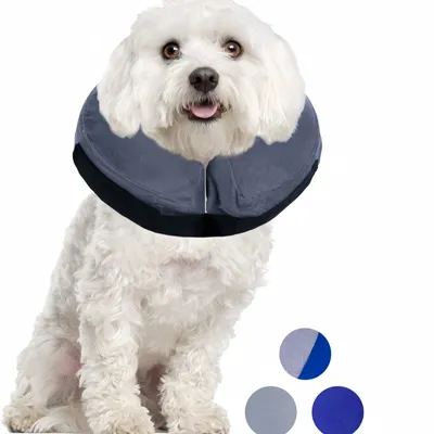 FurryFusion Cône de protection pour chiens