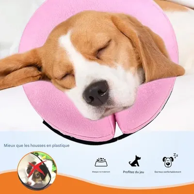 FurryFusion Cône de protection pour chiens