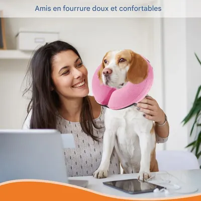 FurryFusion Cône de protection pour chiens
