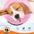 FurryFusion Cône de protection pour chiens