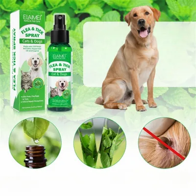 FurryFusion Spray antiparasitaire pour chiens et chats 100ml