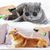 FurryFusion Spray antiparasitaire pour chiens et chats 100ml