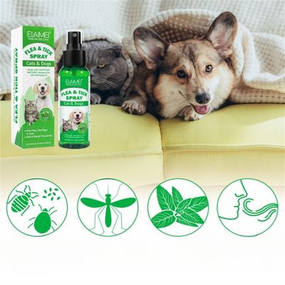 FurryFusion Antiparasitäres Spray für Hunde und Katzen, 100 ml