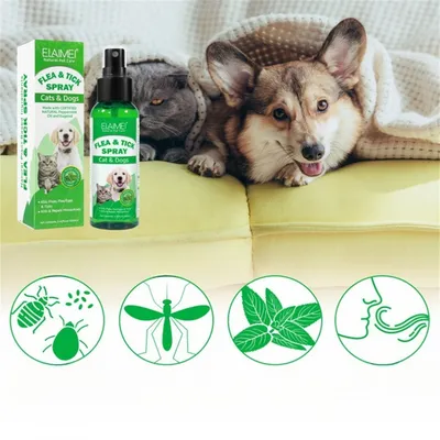 FurryFusion Antiparasitäres Spray für Hunde und Katzen, 100 ml