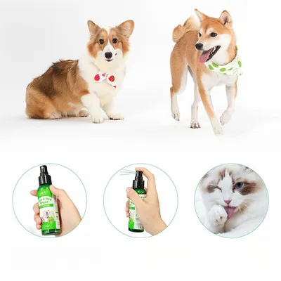 FurryFusion Antiparasitäres Spray für Hunde und Katzen, 100 ml