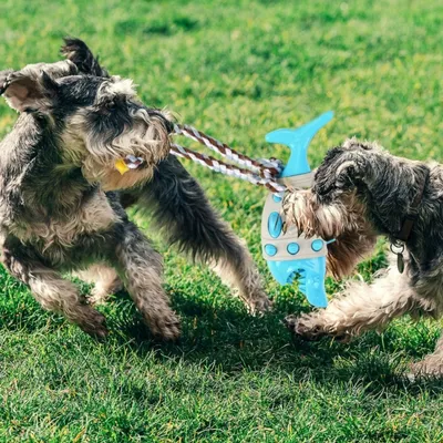 FurryFusion Jouet à mâcher en forme de requin pour chiens