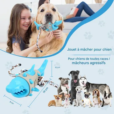 FurryFusion Jouet à mâcher en forme de requin pour chiens