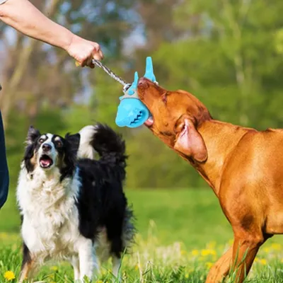 FurryFusion Jouet à mâcher en forme de requin pour chiens