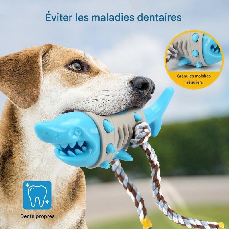 FurryFusion Jouet à mâcher en forme de requin pour chiens