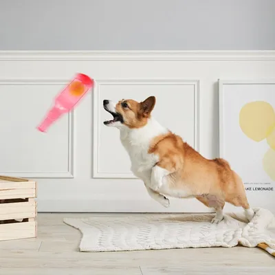 FurryFusion - Jouets en Bouteille TPR pour Chiens (2 pièces)