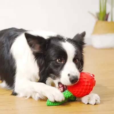 FurryFusion Jouet à mâcher en forme de poisson pour chien
