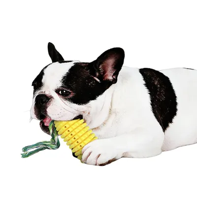 FurryFusion Jouet indestructible pour chien