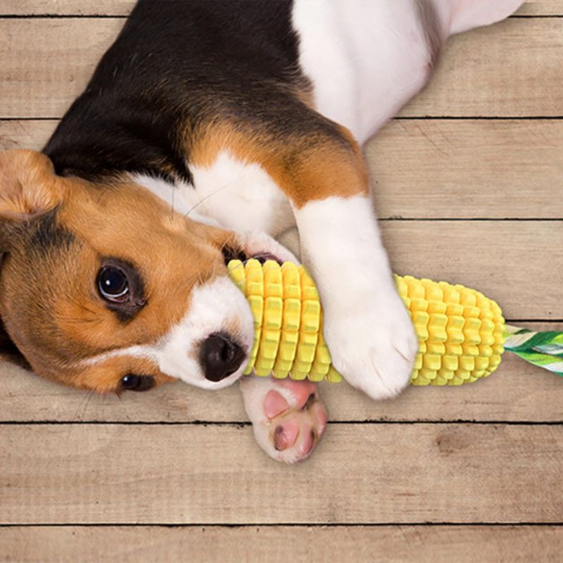 FurryFusion Jouet indestructible pour chien