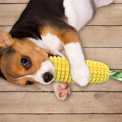 FurryFusion Jouet indestructible pour chien