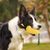 FurryFusion Jouet indestructible pour chien