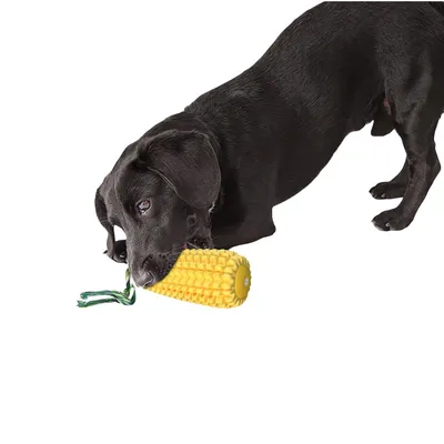 FurryFusion Jouet indestructible pour chien