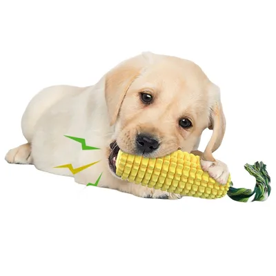 FurryFusion Jouet indestructible pour chien