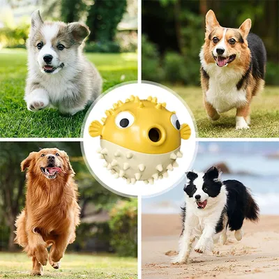 FurryFusion Jouet pour rongeurs pour chien